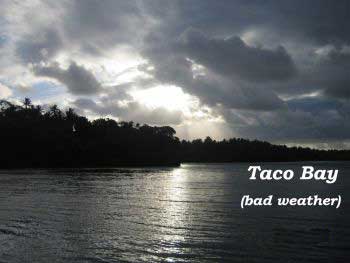 Taco Bay