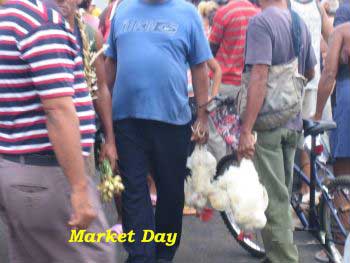 Market Day