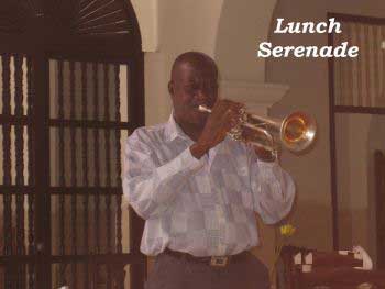 Lunch Serenade