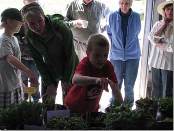 Plant Sale